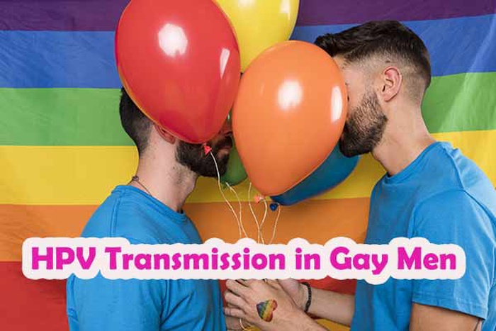 HPV Transmission in Gay Men: Why the Risk Is Higher