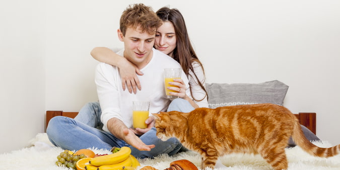Why Cat Owners May Have Better Luck in Dating