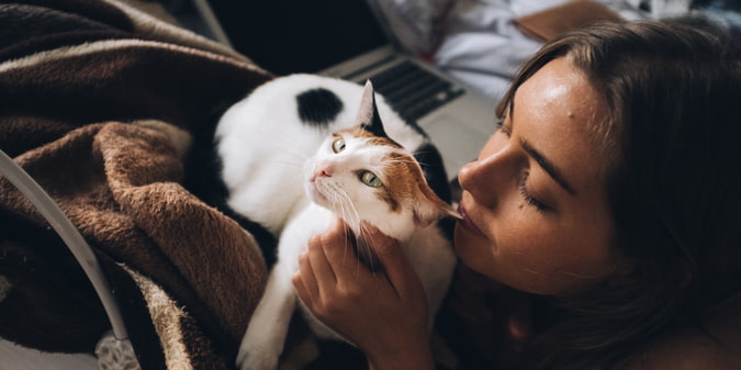 Cat Sneeze Alert: Signs of Feline Herpes or ‘Kitty Chlamydia’