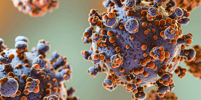 Herpes Simplex Virus The Difference Between Hsv 1 And Hsv 2